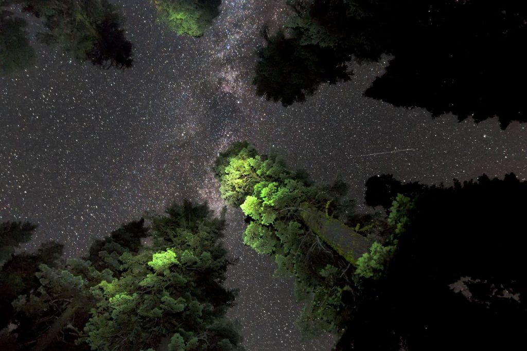 astrophotography with sequoias 