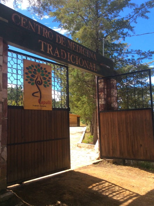 Capulli Traditional Healing Center in Capulalpam de
Méndez, Oaxaca, September 26, 2018.