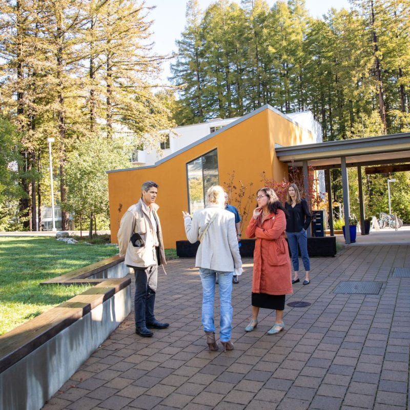 faculty outside in cluster on campus